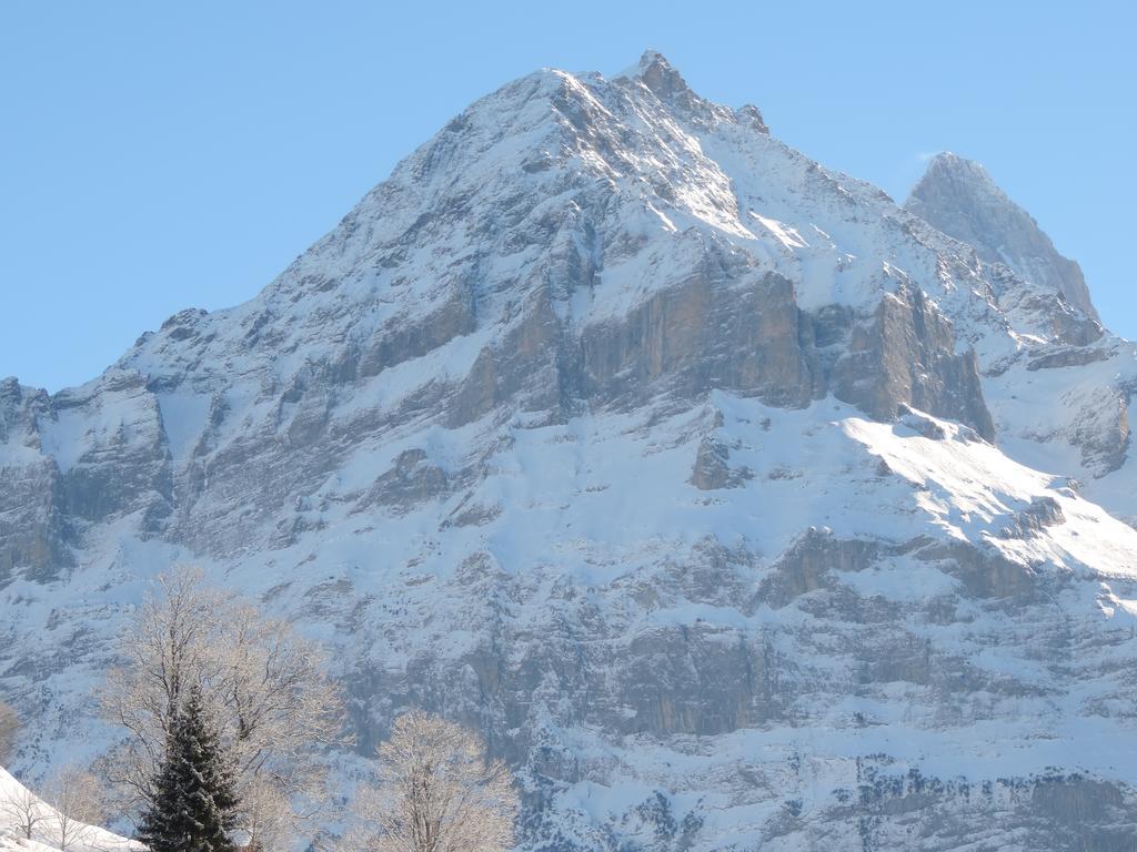 Chalet Schwendiboden Apartment Grindelwald Exterior photo